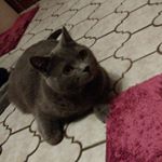 Profile Picture of Cornelia Hahn (@cornelia.hahn.714) on Instagram