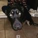 Profile Picture of Andrew Piner (@andrewp2248) on Pinterest