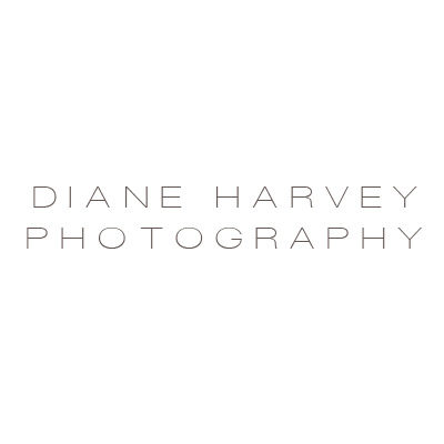 Profile Picture of Diane Harvey (@DHarveyPhoto) on Twitter