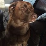 Profile Picture of Rick Bartoch (@rickbartoch) on Instagram