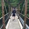 Profile Picture of David Göring (@@davegoering) on Tiktok