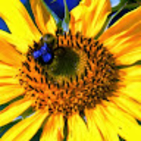 Roxann Jones - Poshmark Profile Picture of Roxann Jones (@roxannjones) on Poshmark