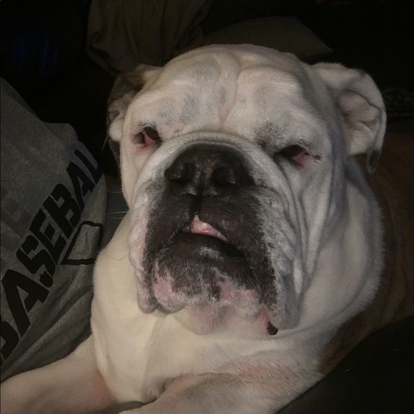 Profile Picture of Shawn Hancock (@shancock6475) on Poshmark