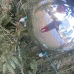 Travis Girard - Facebook Profile Picture of Travis Girard (@travis.girard.549) on Facebook