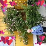 Profile Picture of Hjørdis Jensen (@Hjørdis-Jensen) on Facebook