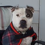 Profile Picture of . Michael TATTAM (@tattam.michael) on Instagram