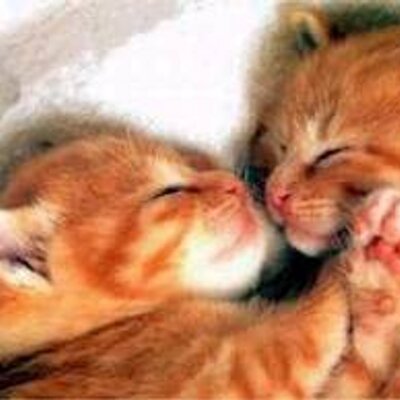 Profile Picture of Julianne Rodman (@Julianneel77) on Twitter