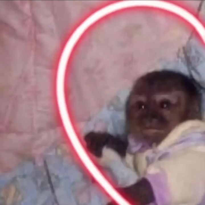 Profile Picture of Kevin Bueno (@kevinbueno94) on Tiktok