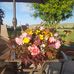 Profile Picture of Nicholas Dunne (@nicholas.dunne.94849) on Facebook