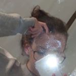 erιcα - Instagram Profile Picture of erιcα (@erica.widmann) on Instagram