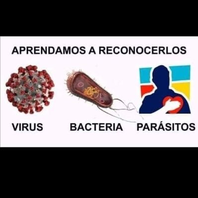 Profile Picture of Alvaro Santacruz Bernal (@BernalSantaclos) on Twitter