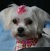 Profile Picture of Karen Treece (@karen.treece.7) on Facebook