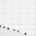 Profile Picture of fernando castanon (@FerCastanon) on Pinterest