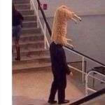 Profile Picture of scott__woolley (@scott__woolley) on Instagram