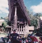 Profile Picture of Dino Delaurentiis (@Dino-Delaurentiis) on Facebook