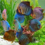 Profile Picture of Deborah Delphy (@deborah.delphy.5) on Facebook