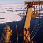 Profile Picture of Peter Morton (@seapeterun) on Instagram