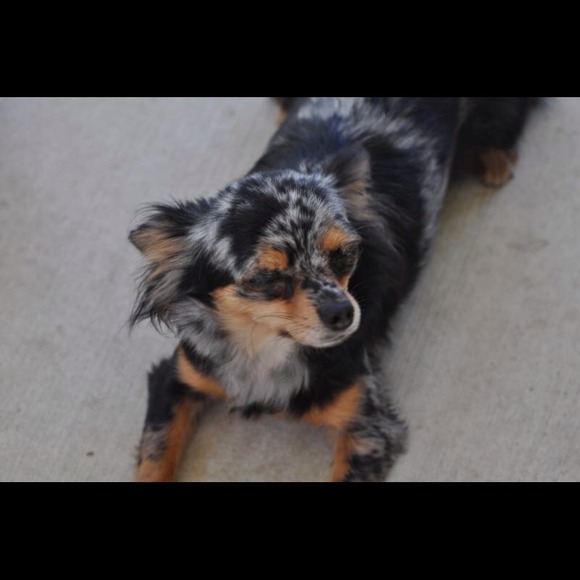 Profile Picture of Raymonda Robinson (@rayrayrobinson) on Poshmark