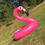 Profile Picture of RICHARD DER FLAMINGO (@richardderflamingo) on Instagram