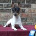 Profile Picture of Chris Bowker (@chris.bowker.3950) on Facebook