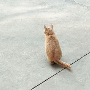 Profile Picture of Robert Liang (@Robertliang14) on Twitter