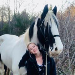 Profile Picture of AmandaRae Clyatt (@stonedponymisfits) on Tiktok