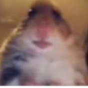 Profile Picture of Levi Downs Gd (@levidownsgd9017) on Youtube