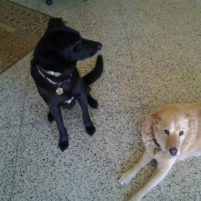 Profile Picture of David Mendelsohn (@DavidM2357) on Twitter