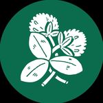 Profile Picture of Handwerk Botaniske (@handwerk_botaniske) on Instagram