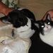 Profile Picture of Cynthia Kepler-Karrer (@pastorcynthia) on Pinterest