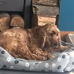 Profile Picture of Jake Drennan (@jakedrennan08) on Instagram