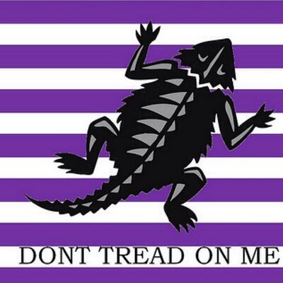 Profile Picture of Brad Bowen (@bradcbowen) on Twitter