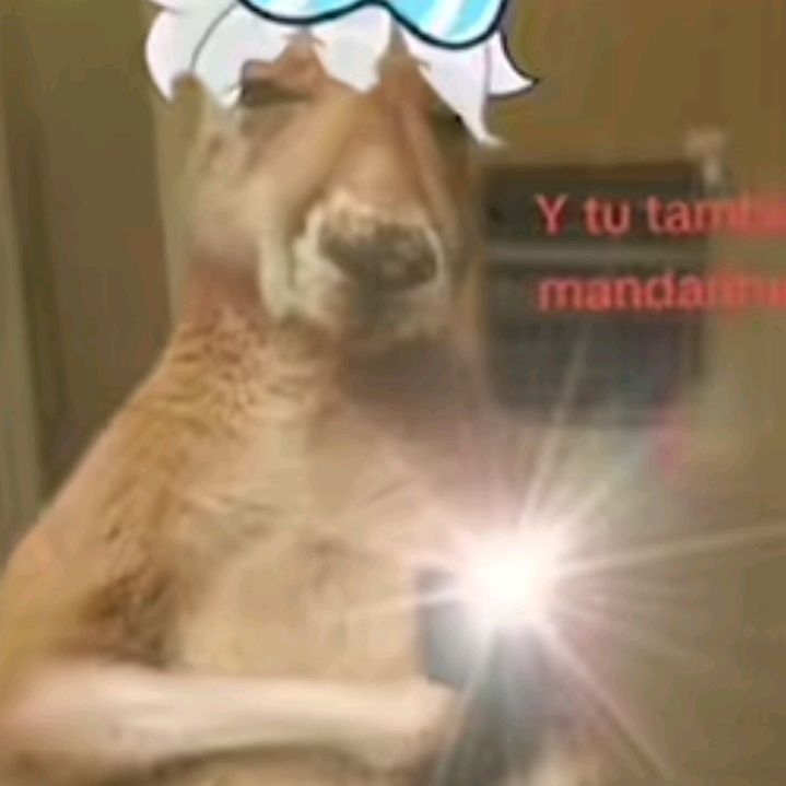 Profile Picture of wayner oziel (@wayner.oziel) on Tiktok