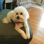 Profile Picture of Maria Tuttle (@luvztorrey) on Instagram