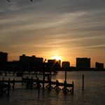 Profile Picture of Edna Tyler (@ednatyler6) on Instagram