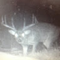 Profile Picture of Shawn Denton (@shawn-denton-18) on Quora