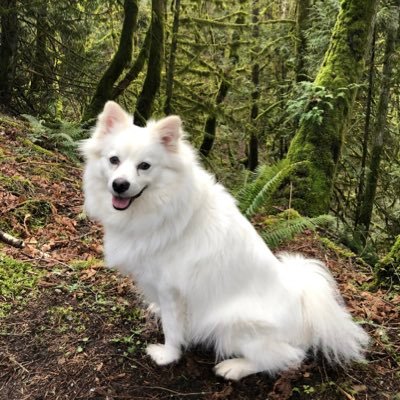 Profile Picture of Donna Spence (@spence_donna) on Twitter