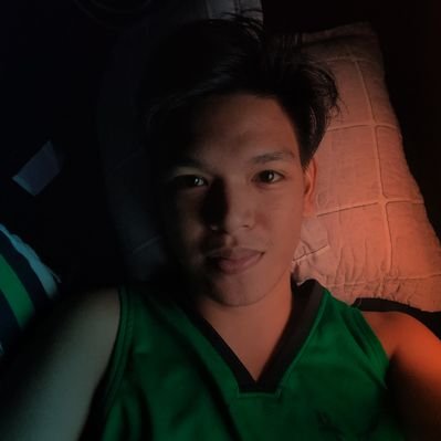 Profile Picture of James Velarde (@jamesdimafelix) on Twitter