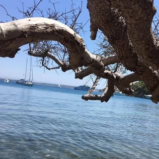 Edwin Erdmann - Instagram Profile Picture of Edwin Erdmann (@edwinerdmann) on Instagram