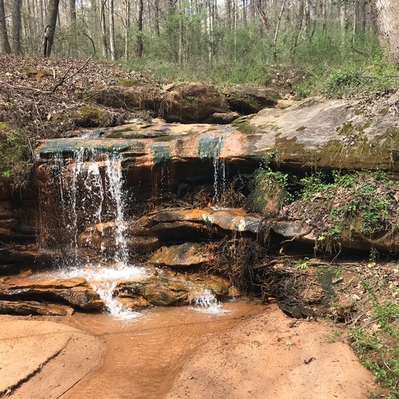 Profile Picture of Tyler Drucker (@number1t) on Poshmark