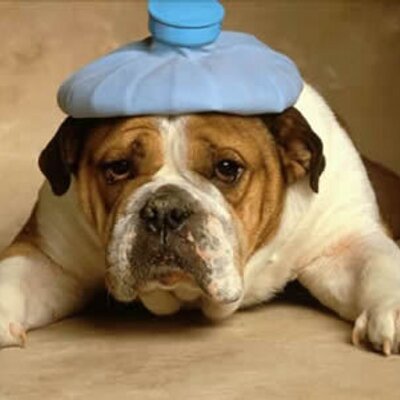 Profile Picture of Antonio Sassi (@AntonioSassi1) on Twitter