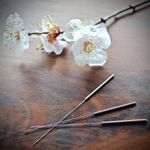 Profile Picture of Allison Mahoney, L.Ac. (@_nineflowers_) on Instagram