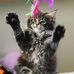 Profile Picture of Van Ess (@van.ess.58152) on Facebook