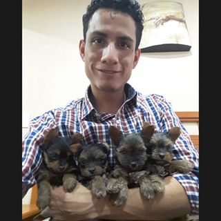 Profile Picture of John Charly Dolphin (@strong.charly) on Facebook