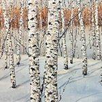 Profile Picture of Stephen Yau (@syau01105) on Instagram