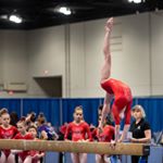 Profile Picture of tori polcaster (@toripolcaster) on Instagram