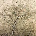 Profile Picture of Johann Hausstaetter (@johannhausstaetter) on Instagram