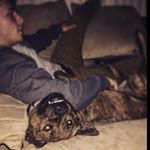 Profile Picture of Kenneth Steven (@kennethsteven5) on Instagram