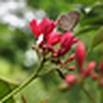 Profile Picture of Priyanka Shukla (@i wonder :)) on Flickr