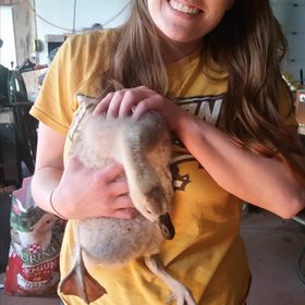 Profile Picture of Rose Neal (@rneal88) on Pinterest